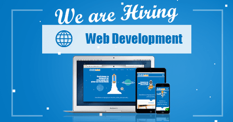 we are looking for a web developer